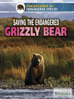 cover image of Saving the Endangered Grizzly Bear
